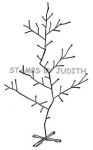 S-13 Tree For All Seasons